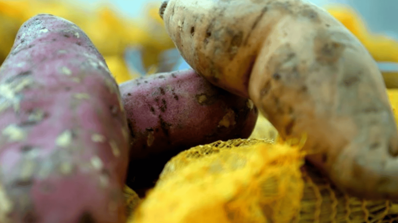 Foto - Vücuda etkileri saymakla bitmez! Dünyanın en sağlıklı 15 besini belli oldu