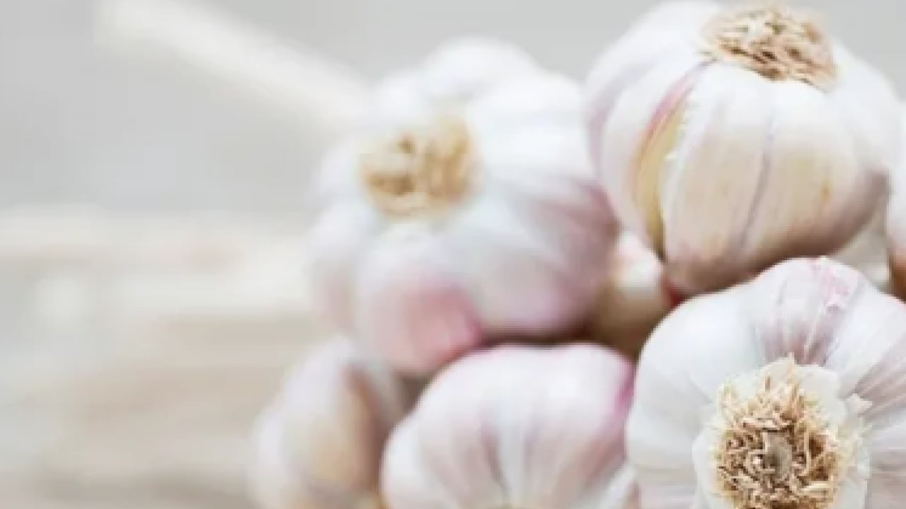 Foto - Vücuda şok etkisi yapacak... Kanserin panzehiri ikili: Şifası kokusunda, tümör savaşçısı