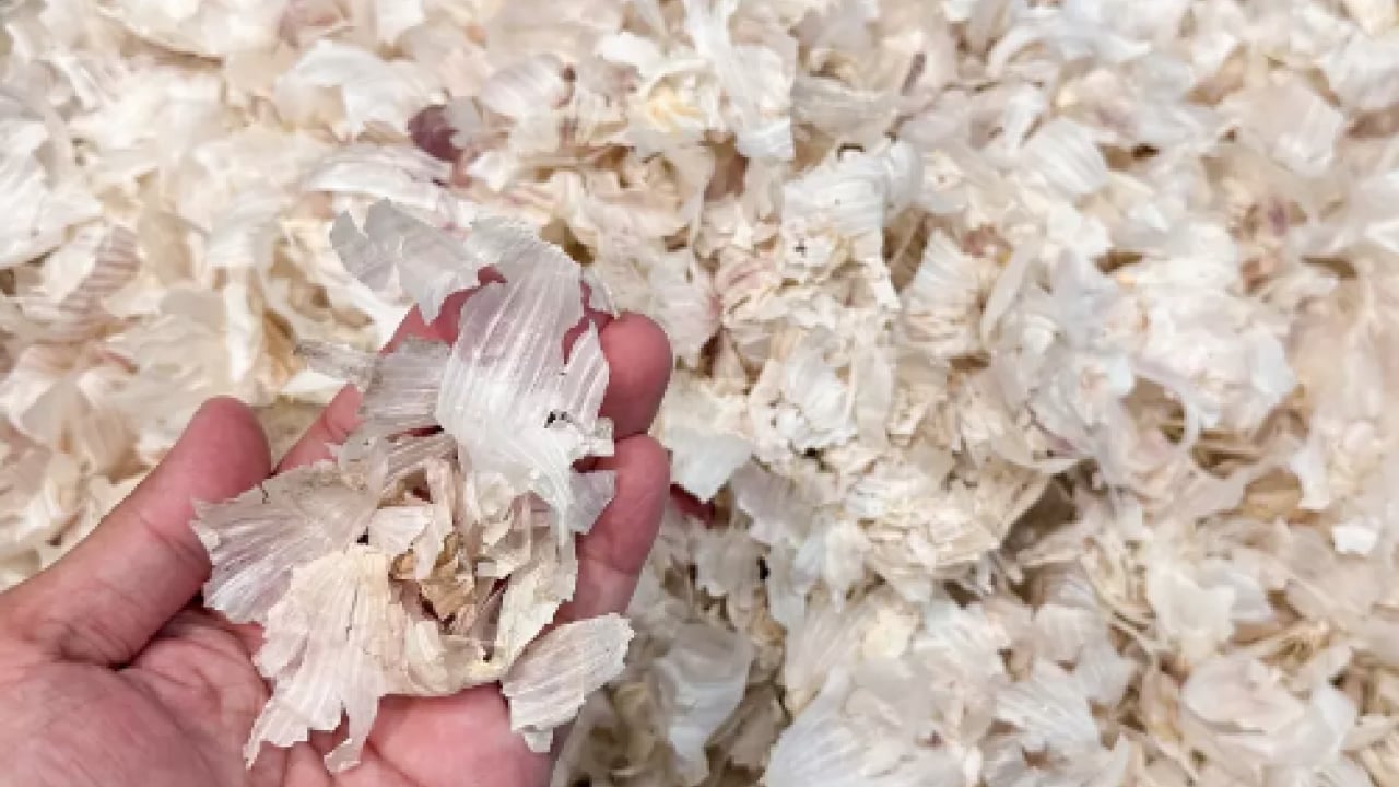 Foto - Vücuda şok etkisi yapacak... Kanserin panzehiri ikili: Şifası kokusunda, tümör savaşçısı