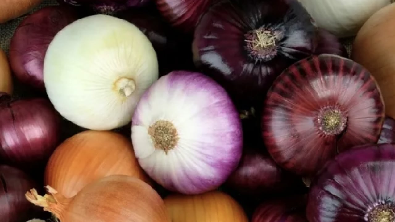 Foto - Vücuda şok etkisi yapacak... Kanserin panzehiri ikili: Şifası kokusunda, tümör savaşçısı