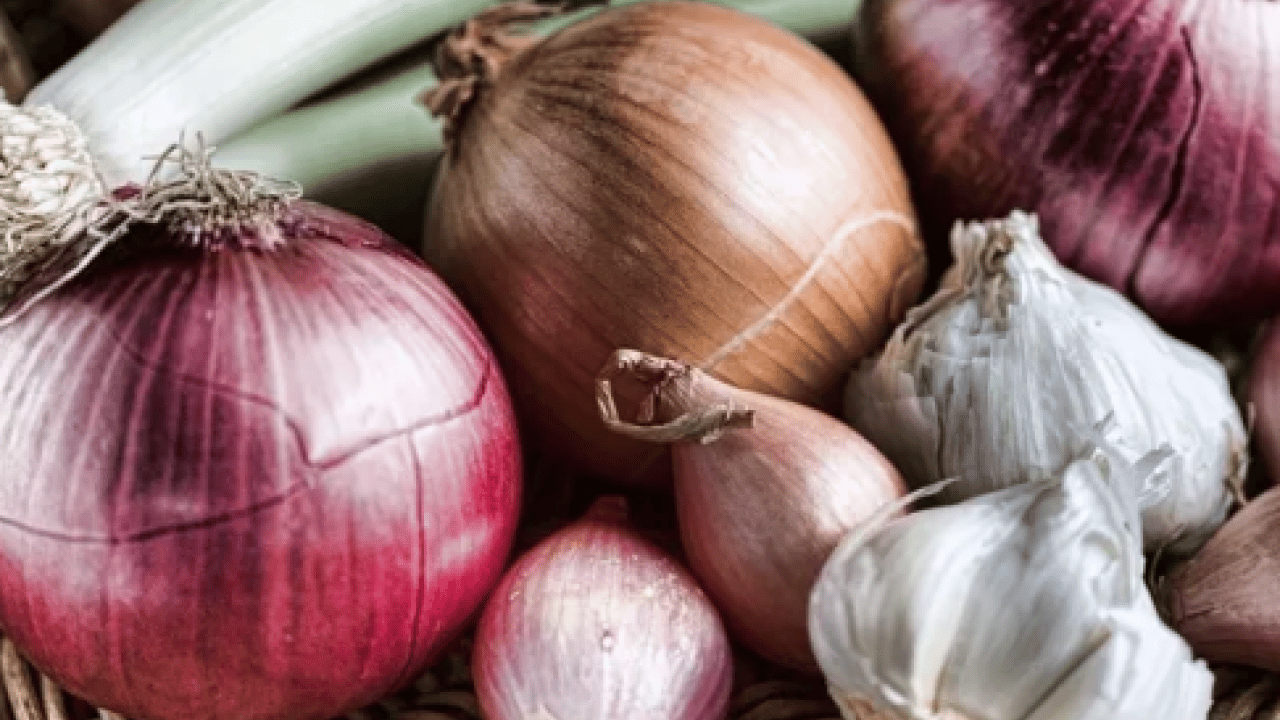 Foto - Vücuda şok etkisi yapacak... Kanserin panzehiri ikili: Şifası kokusunda, tümör savaşçısı