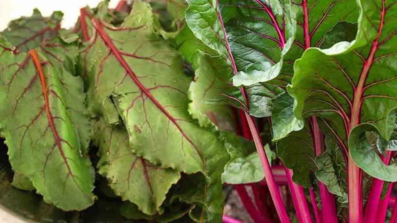 Foto - Vücudu güçlendiren 7 besin: Kalp, beyin ve bağışıklık dostu