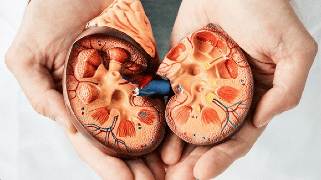 Foto - Vücudumuzu ilgilendiren şok gerçeğe dikkat! Erken müdahale edilmezse ciddi sonuçlara yol açıyor!