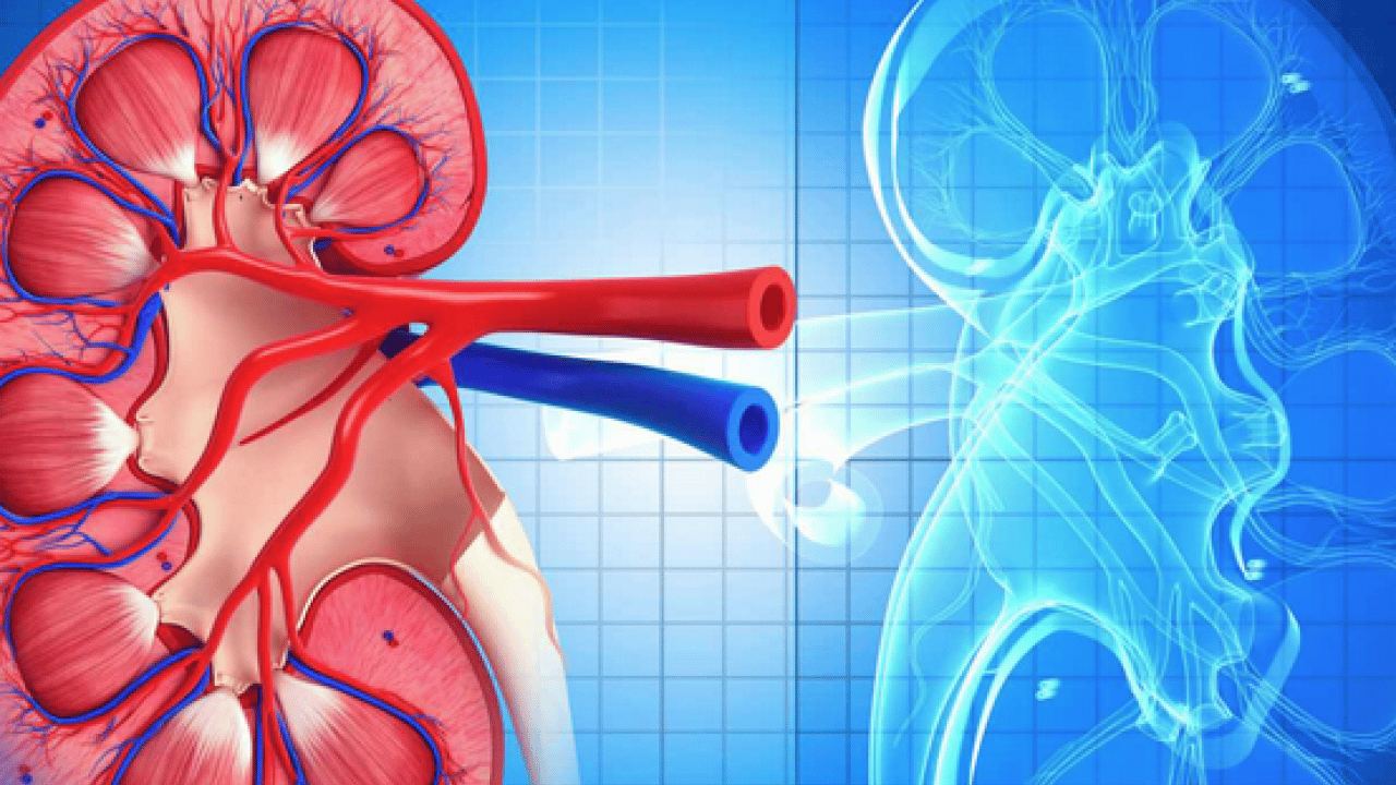 Foto - Vücudumuzu ilgilendiren şok gerçeğe dikkat! Erken müdahale edilmezse ciddi sonuçlara yol açıyor!