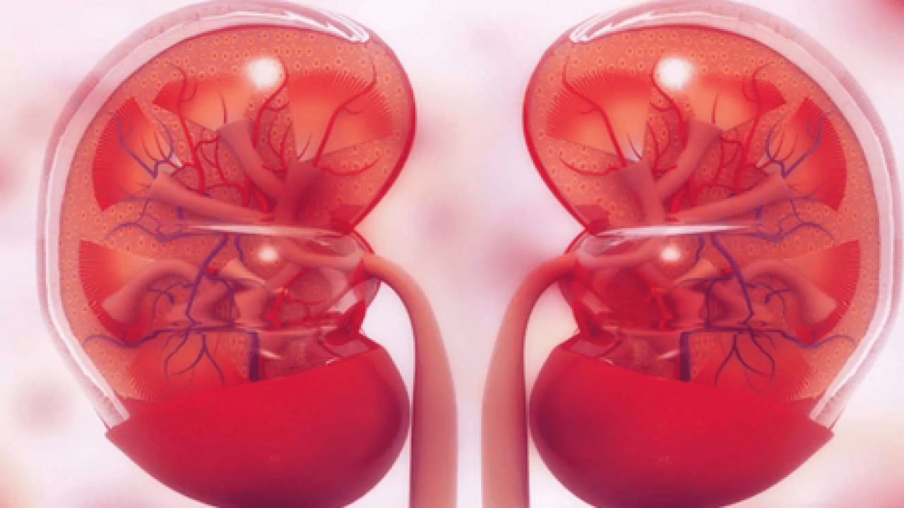 Vücudumuzu ilgilendiren şok gerçeğe dikkat! Erken müdahale edilmezse ciddi sonuçlara yol açıyor!