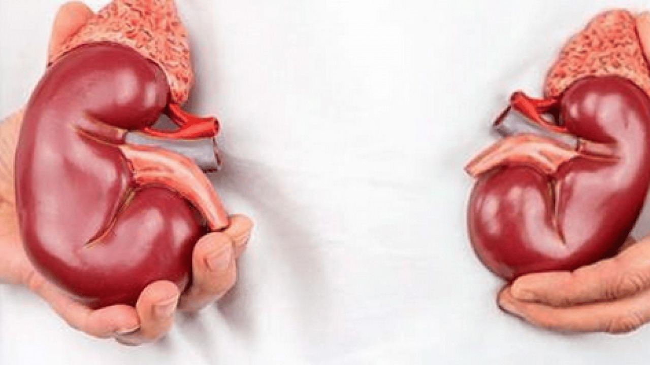 Foto - Vücudumuzu ilgilendiren şok gerçeğe dikkat! Erken müdahale edilmezse ciddi sonuçlara yol açıyor!