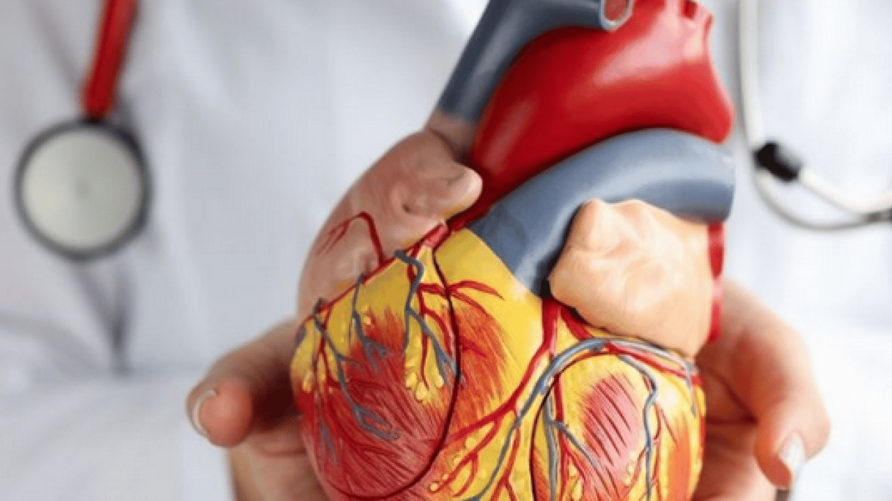 Foto - Vücut isyan etti mi sonu hüsran: Kalp sağlığı için basit formül: Son 3 saatte hiçbir şey yemeyin