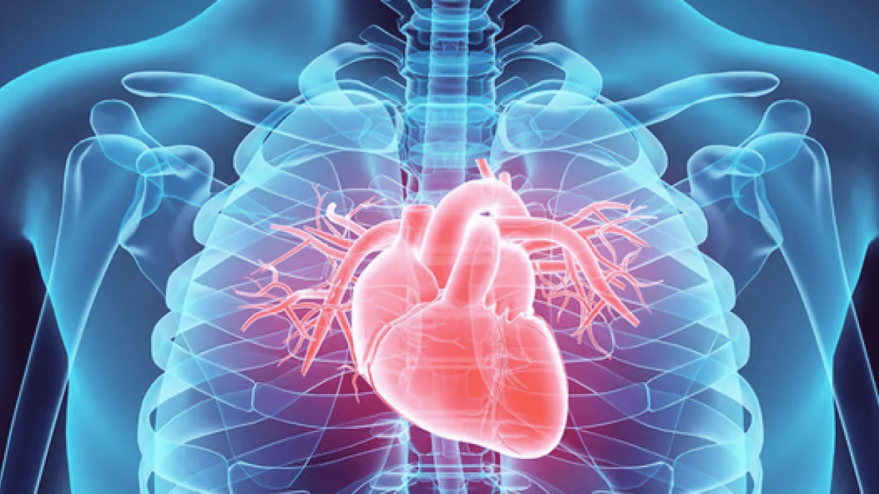 Foto - Vücut isyan etti mi sonu hüsran: Kalp sağlığı için basit formül: Son 3 saatte hiçbir şey yemeyin