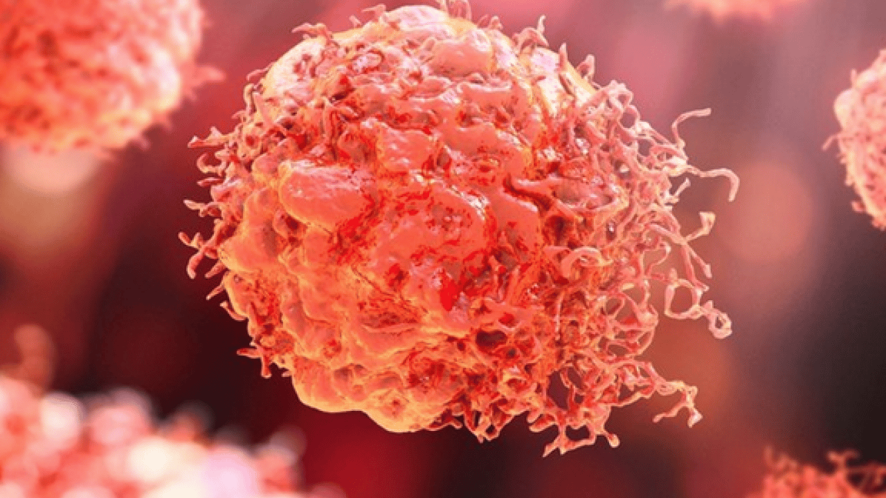 Foto - Vücutta büyük çöküş başlıyor ve... Teker teker terk ediyorlar: Çocuklarda belirti sinsi olabilir