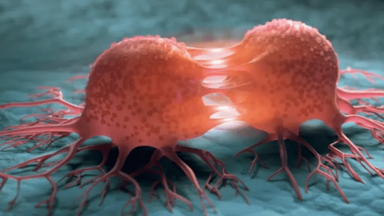 Foto - Vücutta büyük çöküş başlıyor ve... Teker teker terk ediyorlar: Çocuklarda belirti sinsi olabilir