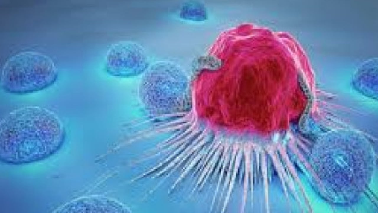 Foto - Vücutta büyük çöküş başlıyor ve... Teker teker terk ediyorlar: Çocuklarda belirti sinsi olabilir