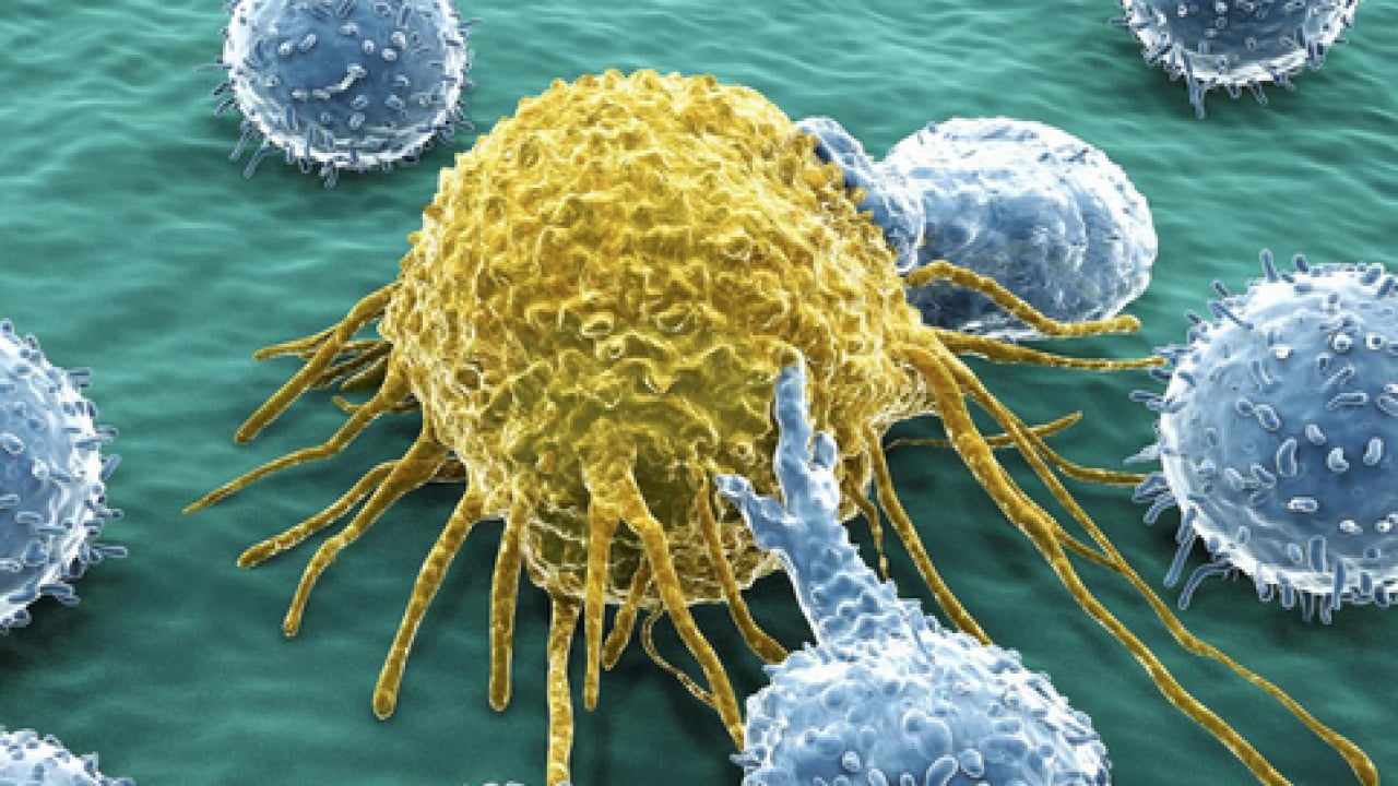 Vücutta büyük çöküş başlıyor ve... Teker teker terk ediyorlar: Çocuklarda belirti sinsi olabilir