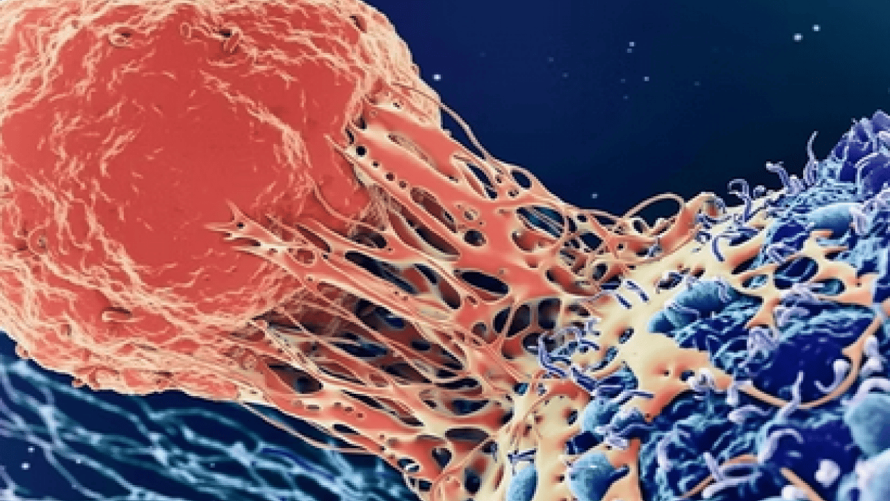 Foto - Vücutta büyük çöküş başlıyor ve... Teker teker terk ediyorlar: Çocuklarda belirti sinsi olabilir