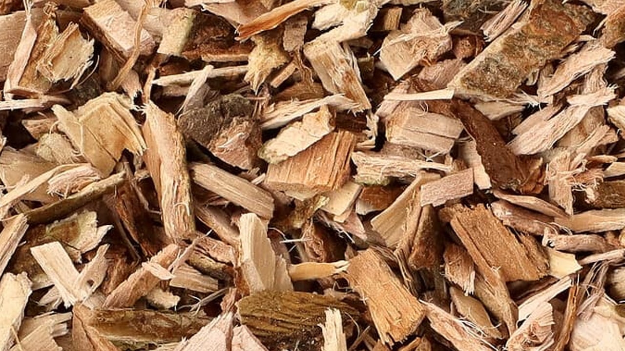 Foto - Vücuttaki iltihapları kurutuyor! Çayı içerseniz...