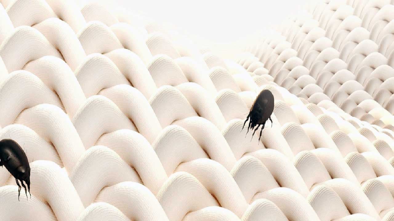 Foto - Xiaomi akıllı elektrikli battaniyesini duyurdu! Özellikleri dikkat çekiyor