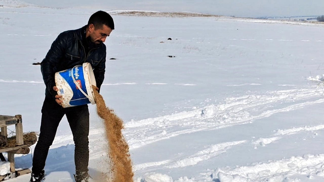 Foto - Yaban hayvanları için 13 kilometre aştı! Dondurucu soğukta insanlık dersi