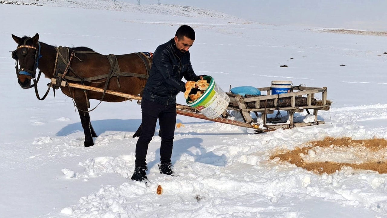 Foto - Yaban hayvanları için 13 kilometre aştı! Dondurucu soğukta insanlık dersi