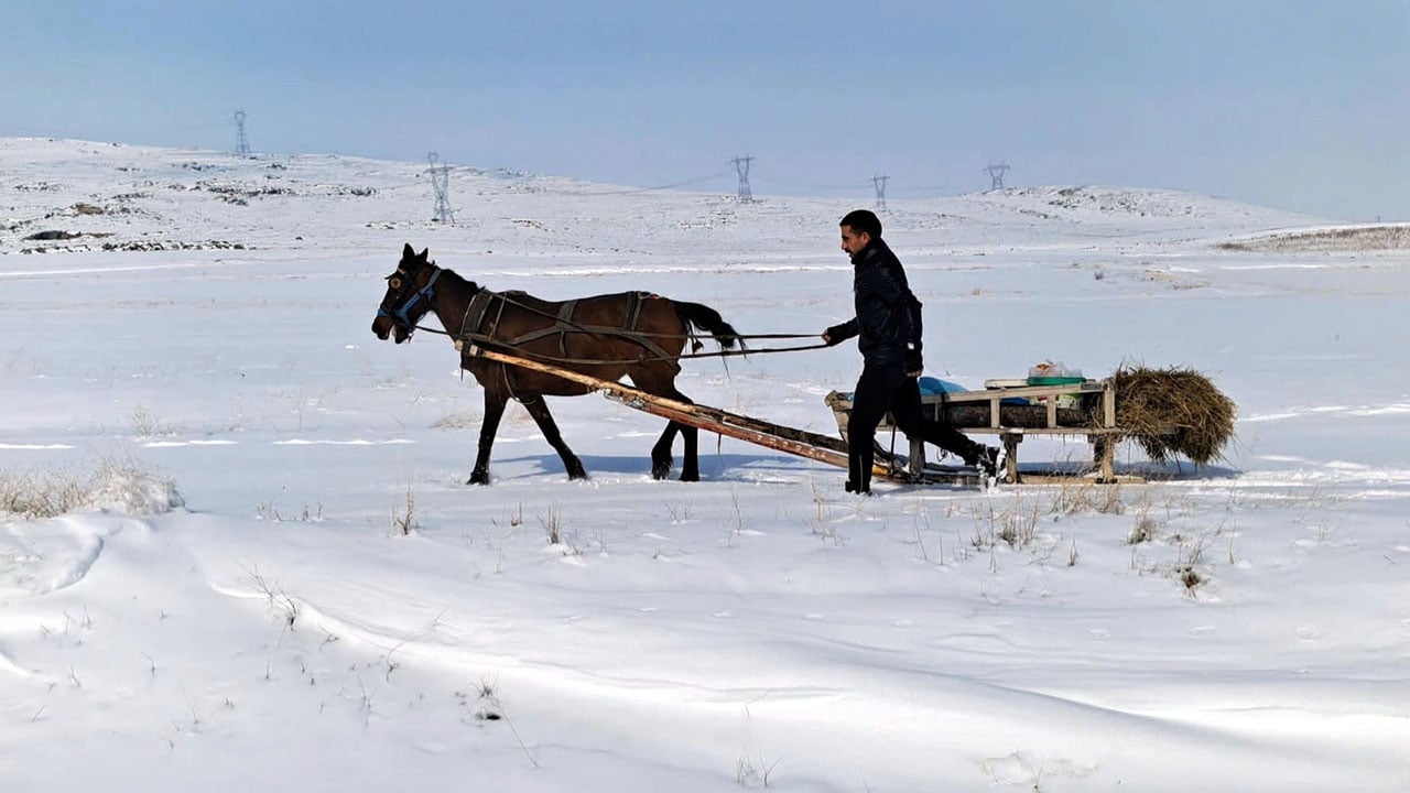 Yaban hayvanları için 13 kilometre aştı! Dondurucu soğukta insanlık dersi