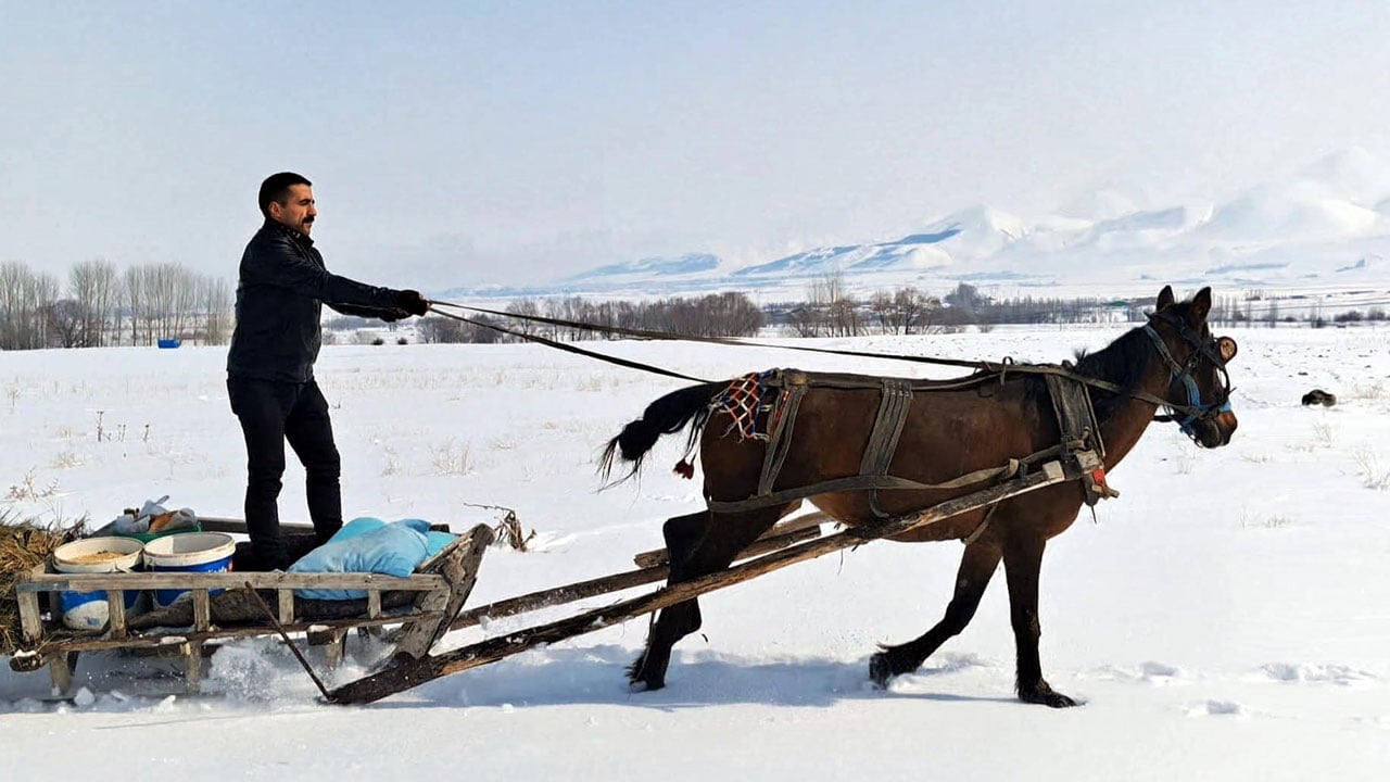 Foto - Yaban hayvanları için 13 kilometre aştı! Dondurucu soğukta insanlık dersi