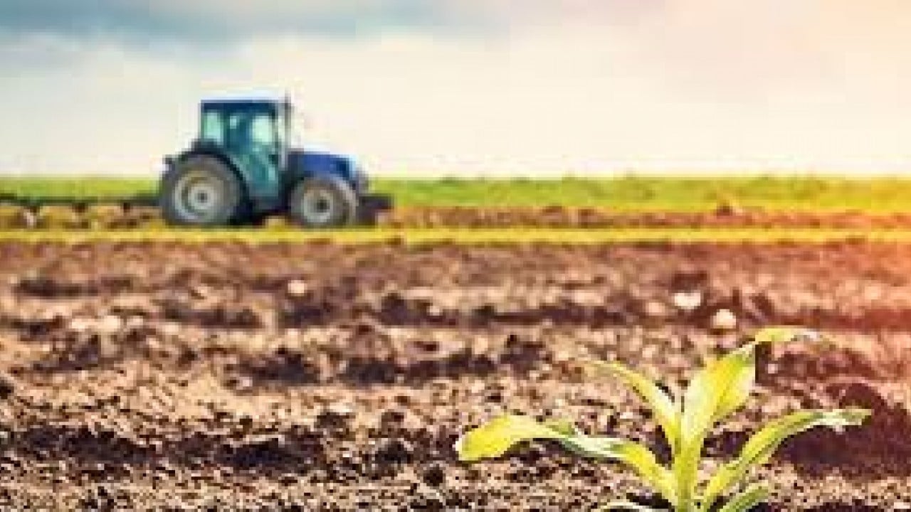 Foto - Yabancılar tarım arazilerini toplamaya başladı! Ülkede acil kodlu alarm verildi