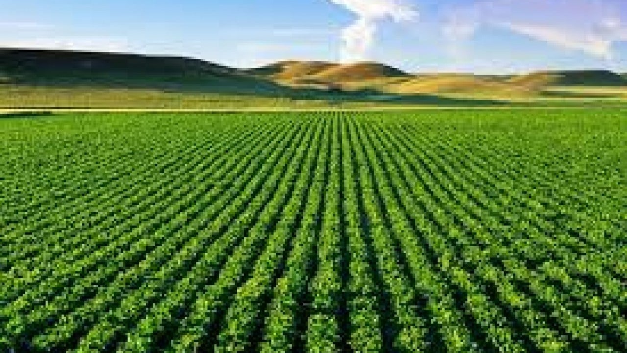 Foto - Yabancılar tarım arazilerini toplamaya başladı! Ülkede acil kodlu alarm verildi