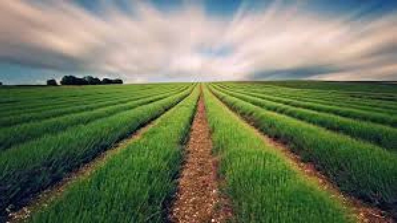 Foto - Yabancılar tarım arazilerini toplamaya başladı! Ülkede acil kodlu alarm verildi