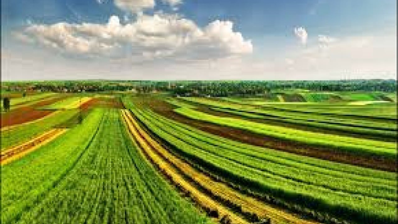 Yabancılar tarım arazilerini toplamaya başladı! Ülkede acil kodlu alarm verildi