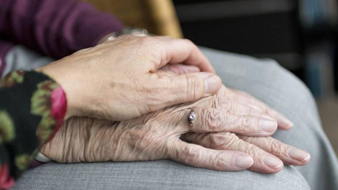 Foto - YADES’e başvurular başladı! 50 milyon lira ödenek ayrıldı
