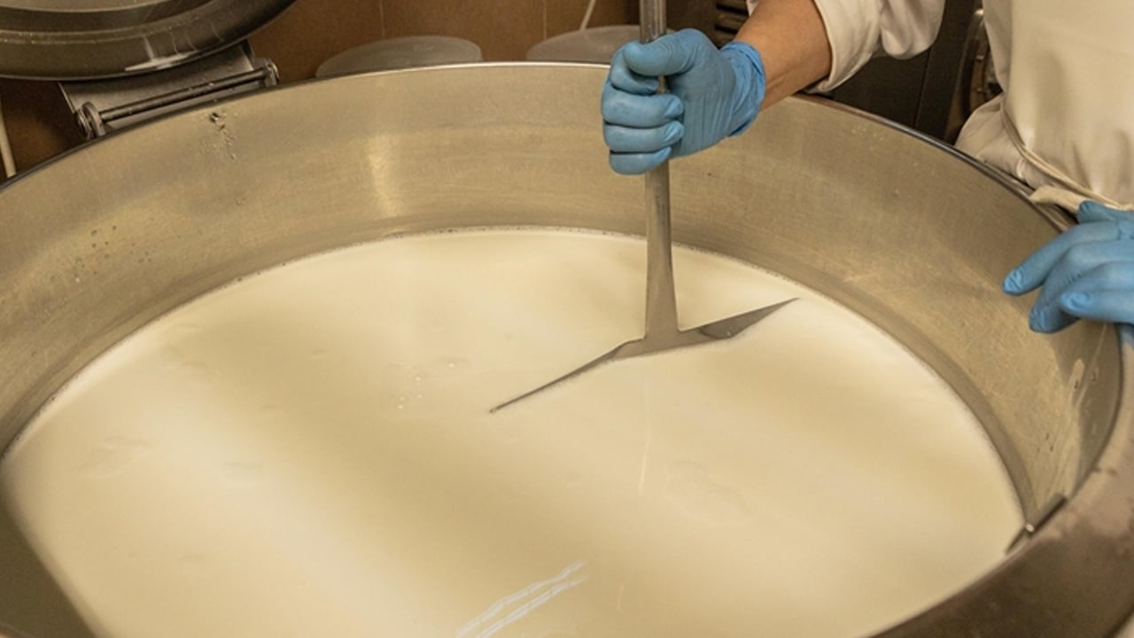 Foto - Yağ ve protein oranı fiyatları etkileyecek! Çiğ süt fiyatlarına zam geliyor! Söz konusu fiyatı: 22,22 lira olacak! 