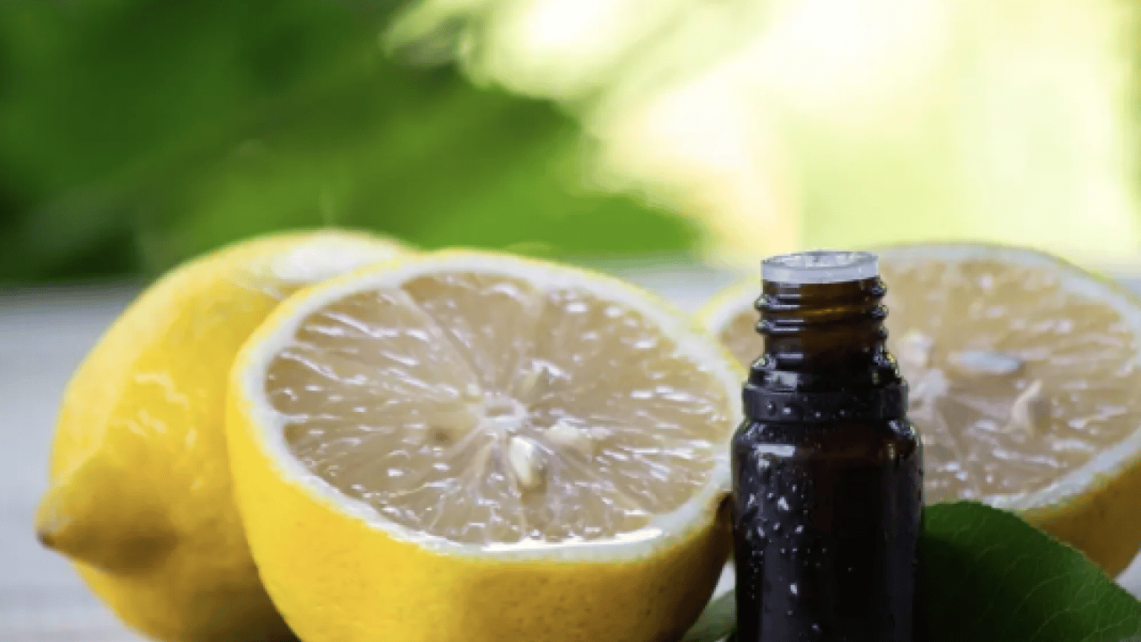 Foto - Yağların gücü imdada yetişiyor: 1 damla sürmek yetiyor: Oruçluyken baş ağrısına...