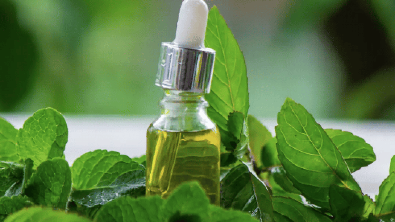 Foto - Yağların gücü imdada yetişiyor: 1 damla sürmek yetiyor: Oruçluyken baş ağrısına...