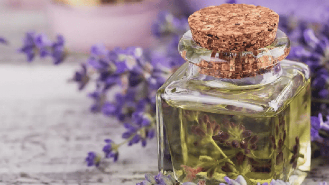 Foto - Yağların gücü imdada yetişiyor: 1 damla sürmek yetiyor: Oruçluyken baş ağrısına...