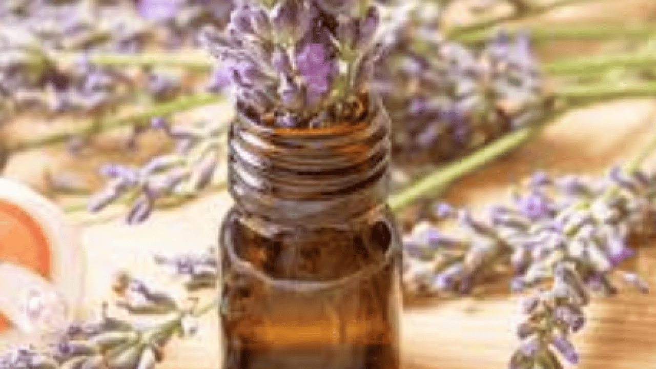 Foto - Yağların gücü imdada yetişiyor: 1 damla sürmek yetiyor: Oruçluyken baş ağrısına...