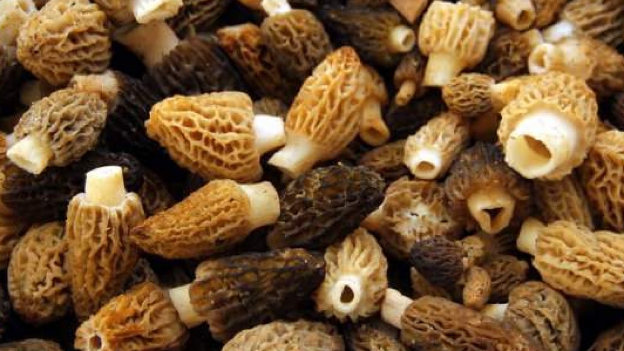 Foto - Yağmur bereket getirdi: Kilosu 300 liradan 100 liraya düştü!