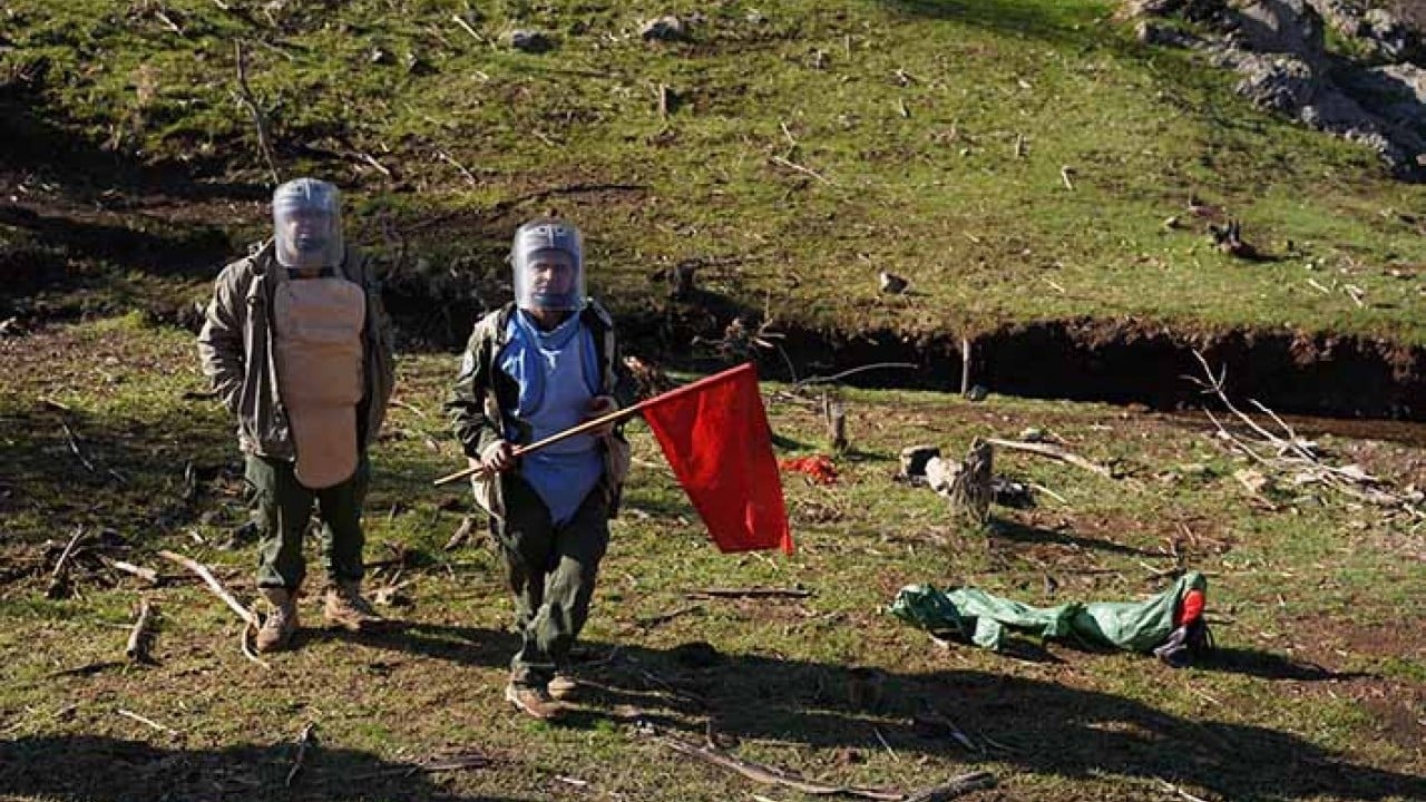 Yağmur sonrası dağda bayırda mayın topladılar!