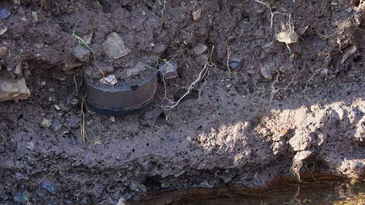 Foto - Yağmur sonrası dağda bayırda mayın topladılar!