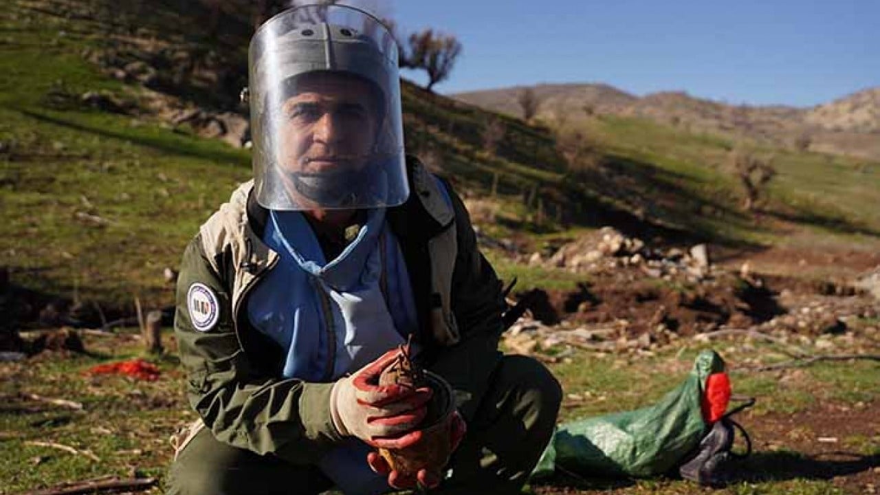 Foto - Yağmur sonrası dağda bayırda mayın topladılar!