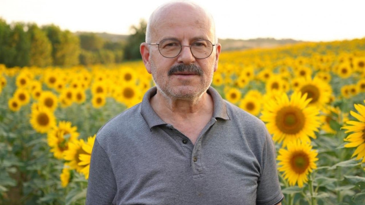 Foto - Yağmur yağdı! Ayçiçeğinin yüzünü güldü