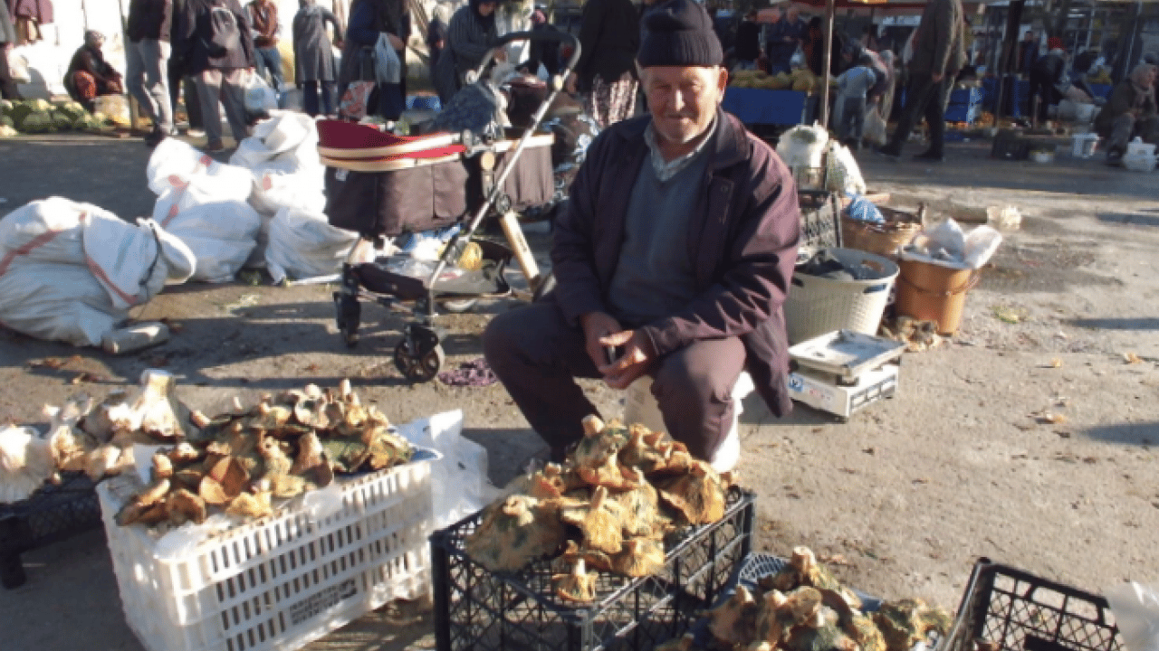 Foto - Yağmur yağınca dağlarda bollaştı! Kilosu 400 liradan 100 liraya düştü