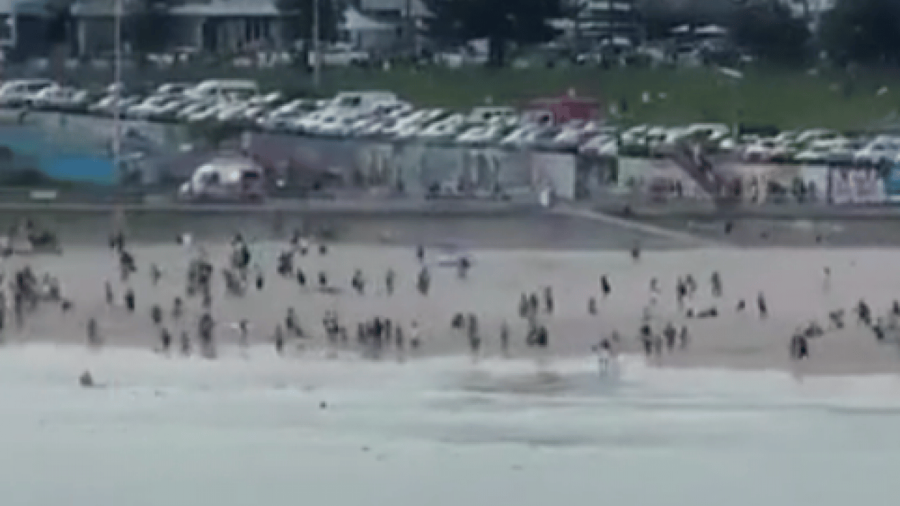 Foto - Yahudi kutlamasına silahlı saldırı: Çok sayıda kişi öldürüldü!