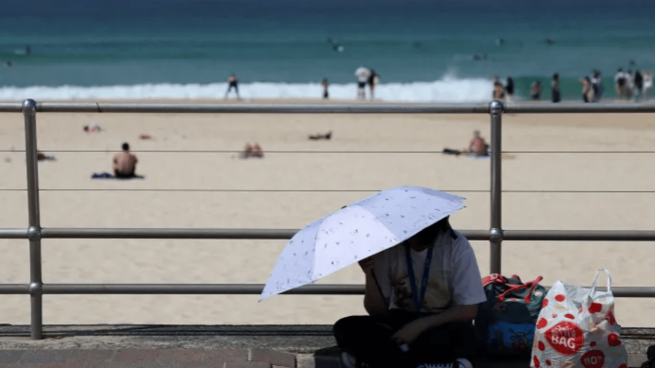 Foto - Yahudi kutlamasına silahlı saldırı: Çok sayıda kişi öldürüldü!