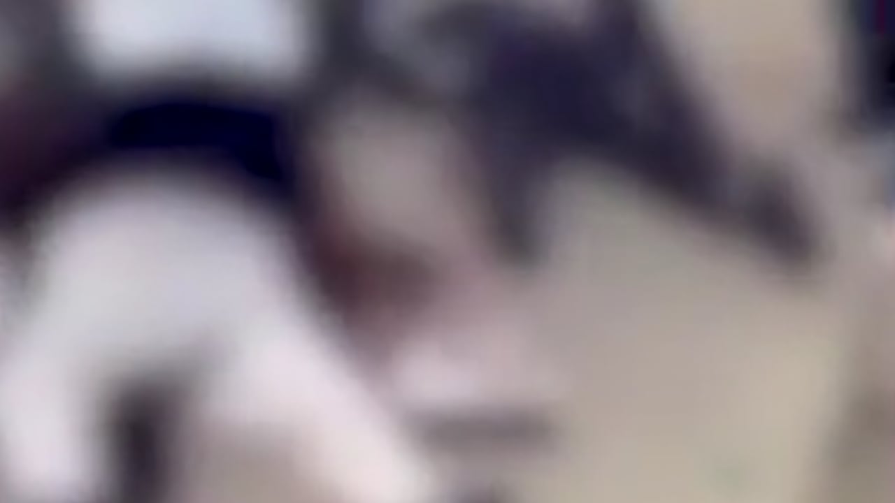 Foto - Yahudi kutlamasına silahlı saldırı: Çok sayıda kişi öldürüldü!