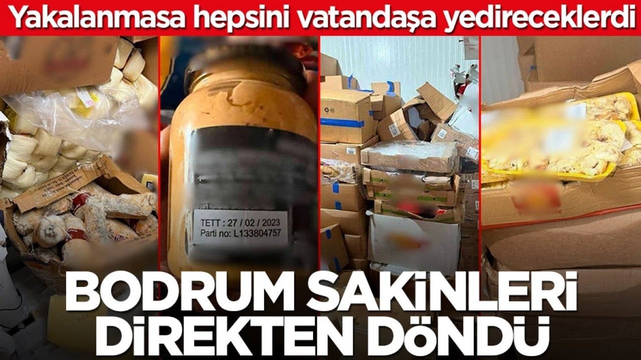 Yakalanmasalar hepsini vatandaşa yedireceklerdi! Bodrum sakinleri direkten döndü