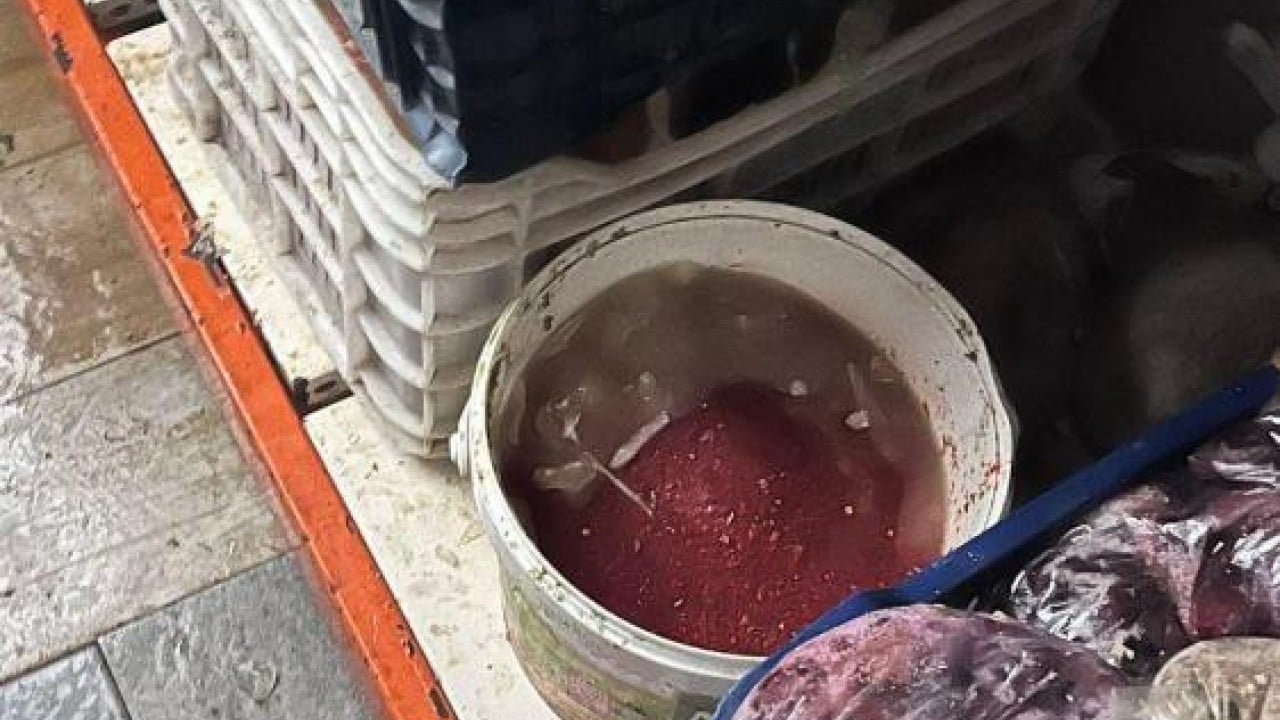 Foto - Yakalanmasalar vatandaşa yedireceklerdi