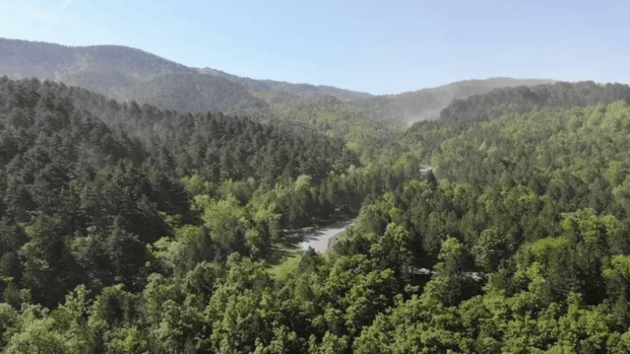 Foto - Yalan dolan talan! İddianame okundukça hırsızlık deşifre oluyor