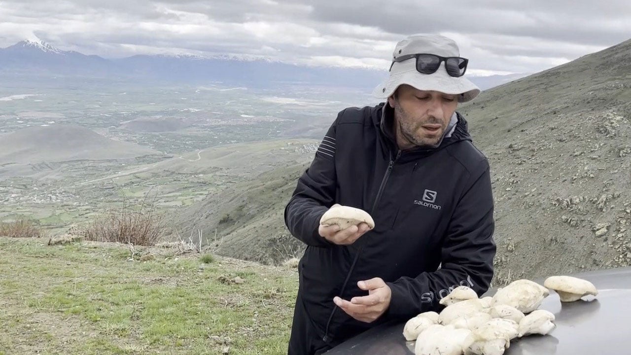Foto - Yalnızca zirvelerde yetişiyor! Bu mantarın fiyatı altınla yarışıyor
