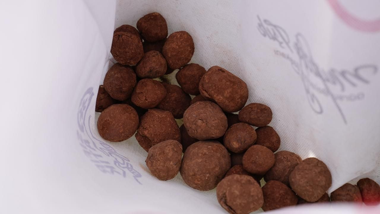 Foto - Yamaç paraşütüyle doğaya can suyu: Bursa’da yanan alanlara "tohum topu" serpildi