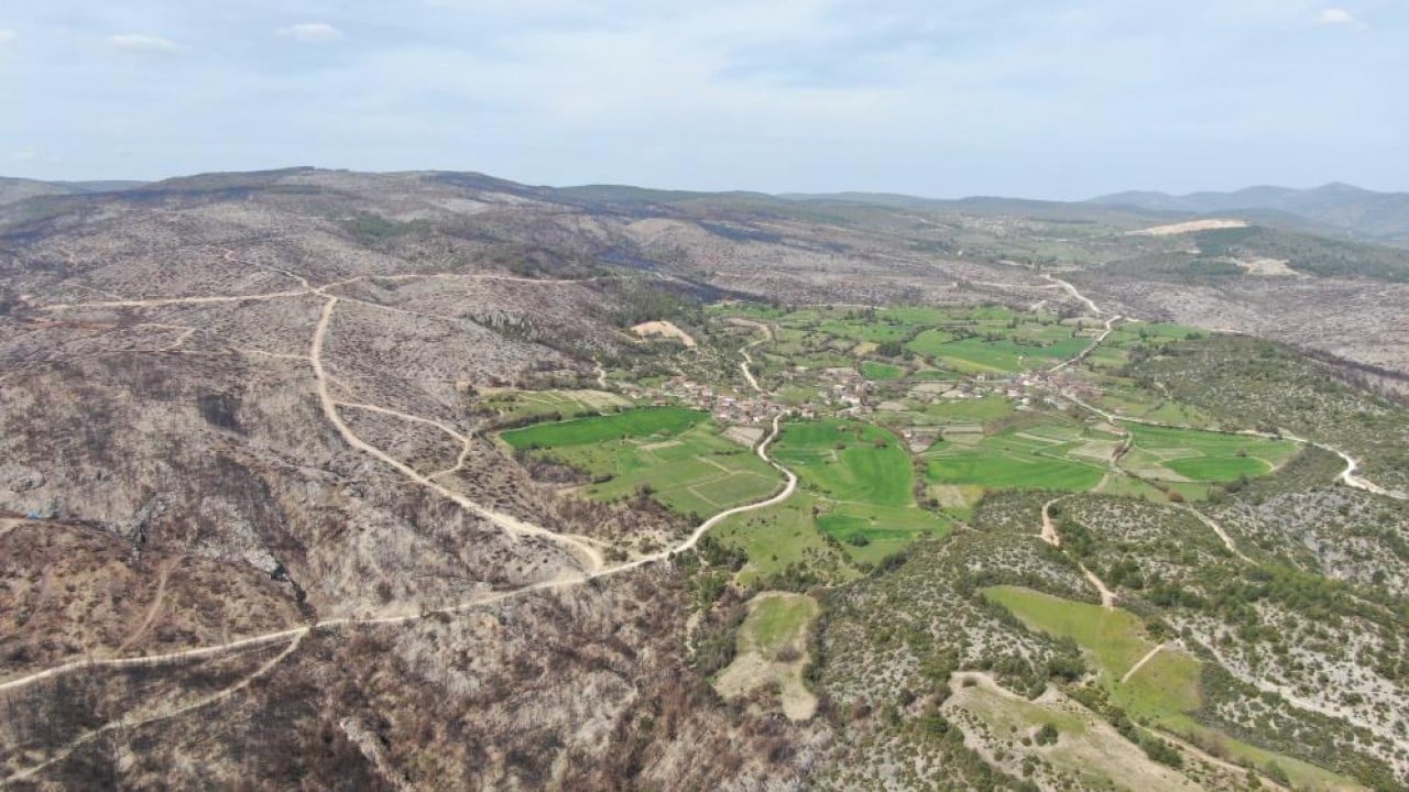 Foto - Yanan orman köylülerin gelir kaynağı oldu