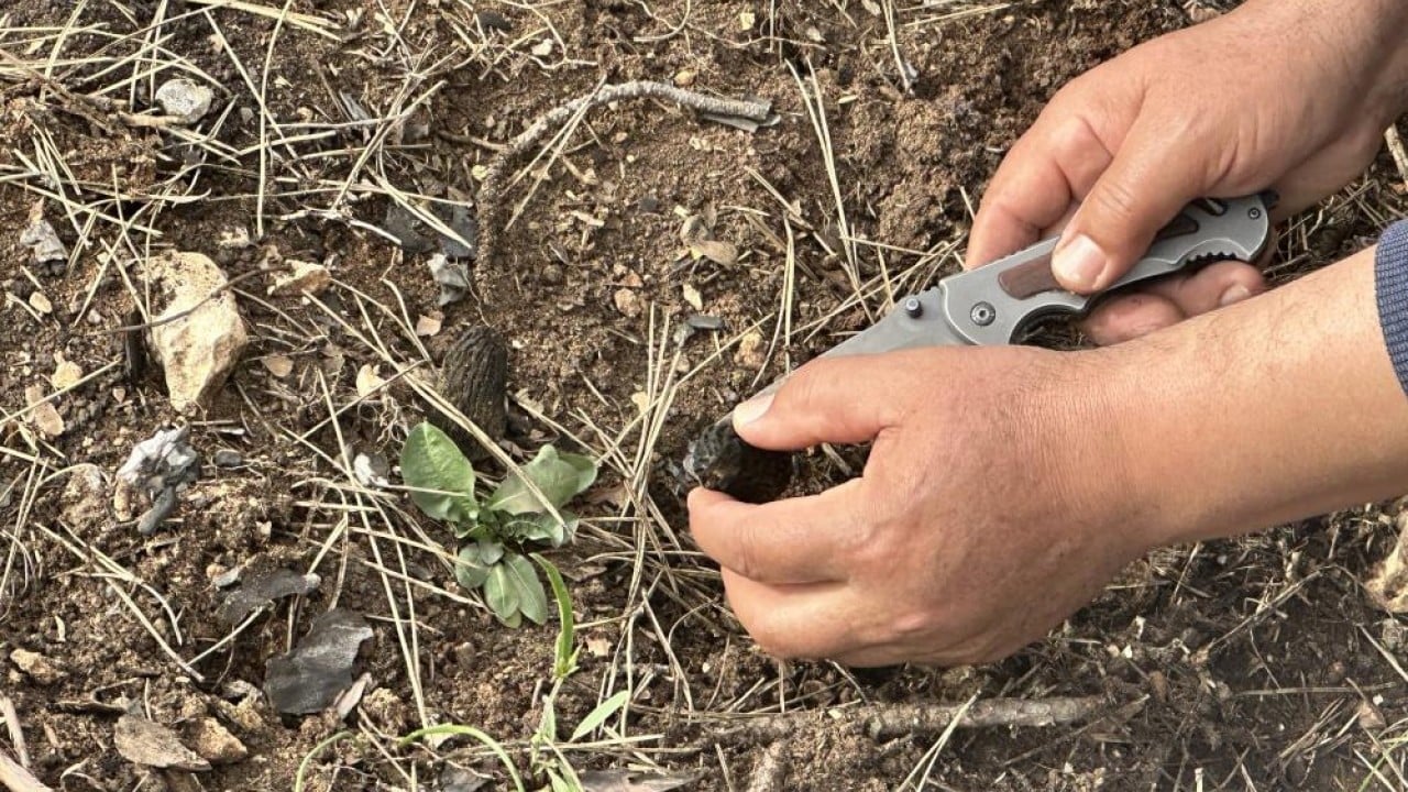 Foto - Yanan orman köylülerin gelir kaynağı oldu