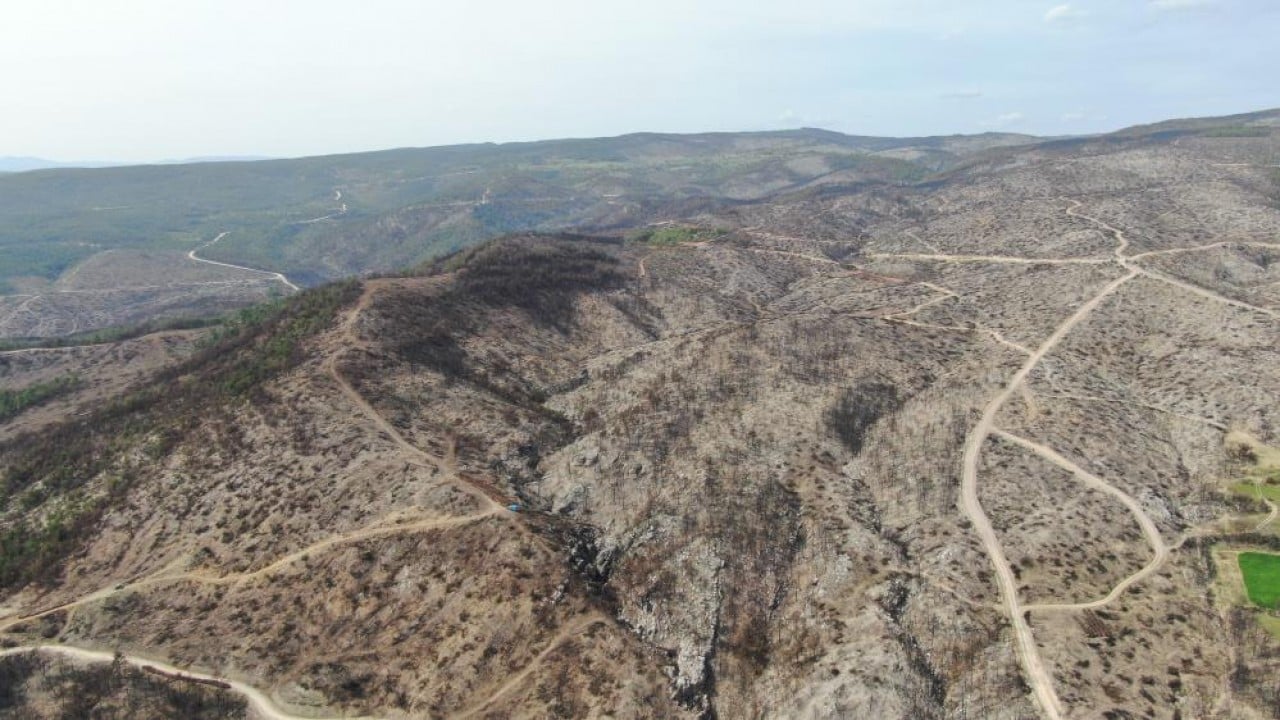 Foto - Yanan orman köylülerin gelir kaynağı oldu